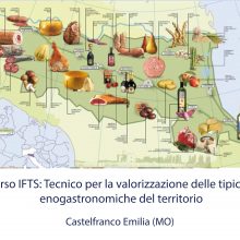 Tecnico per la valorizzazione delle tipicità enogastronimiche del territorio (Castelfranco Emilia)