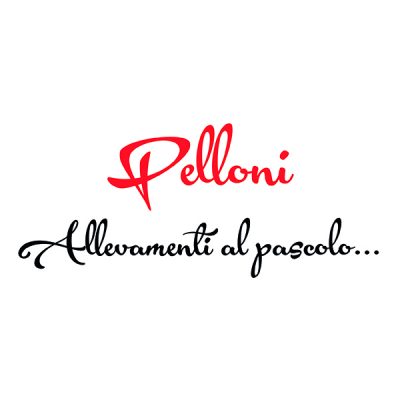 Alberto Pelloni